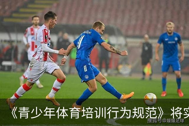 《青少年体育培训行为规范》将实施 明确执教人员资质要求