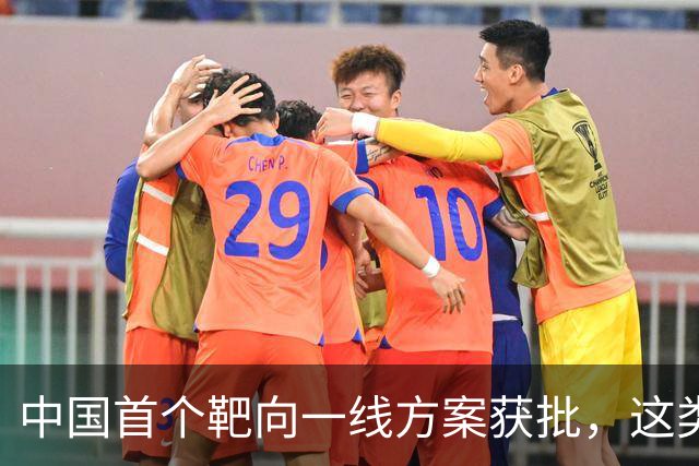中国首个靶向一线方案获批，这类外周T细胞淋巴瘤迎新选择