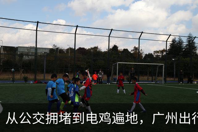 从公交拥堵到电鸡遍地，广州出行方式巨变，道路该为谁优先让路？