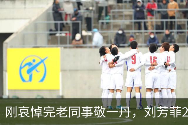 刚哀悼完老同事敬一丹，刘芳菲2026年10月15号专程赴八宝山送别楼宇烈