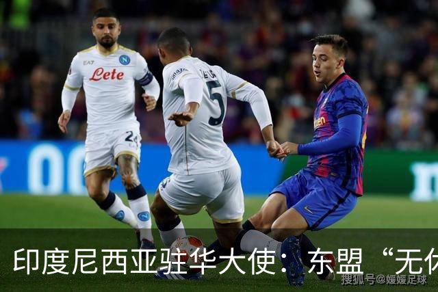印度尼西亚驻华大使：东盟“无休止会议”带来的启示