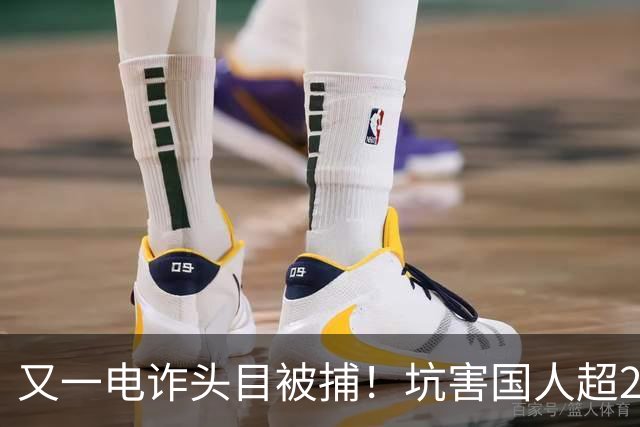 又一电诈头目被捕！坑害国人超27亿,杀人不眨眼,全网喊话查小燕子