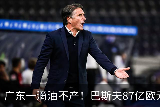 广东一滴油不产！巴斯夫87亿欧元、中海壳牌521亿，图啥
