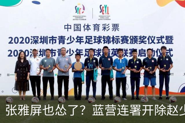 张雅屏也怂了？蓝营连署开除赵少康，张雅屏：联署人数不能替代事证