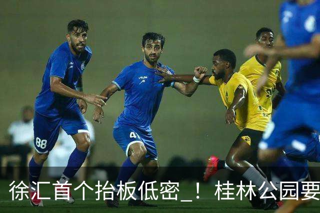 徐汇首个抬板低密 ！桂林公园要卖15万+的豪宅来了。