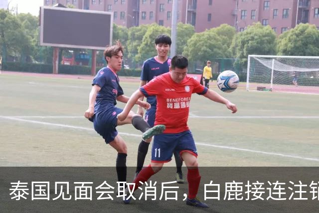 泰国见面会取消后，白鹿接连注销名下三家公司，网友：果然有猫腻