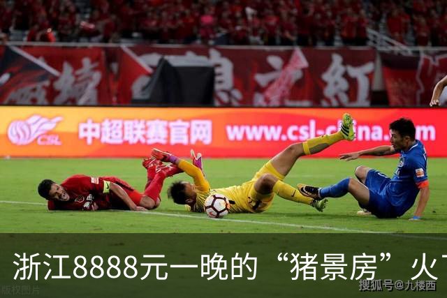 浙江8888元一晚的“猪景房”火了，还送一头生猪！