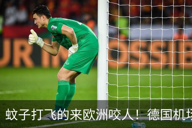 蚊子打飞的来欧洲咬人！德国机场3人死亡，戴高乐机场病例欧洲第一