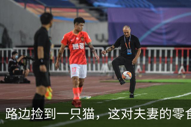 路边捡到一只猫，这对夫妻的零食之旅变成了"欢迎回家"