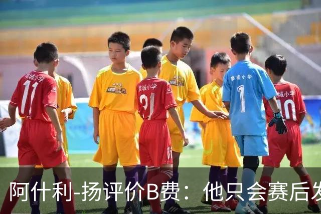 阿什利-扬评价B费：他只会赛后发脾气，做半吊子逼抢压迫