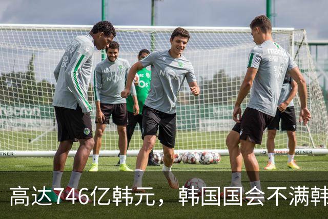 高达746亿韩元，韩国国会不满韩国职业足球发展委员会预算过高