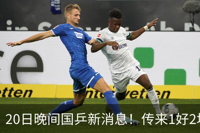 20日晚间国乒新消息！传来1好2坏消息，林诗栋、王曼昱、王艺迪
