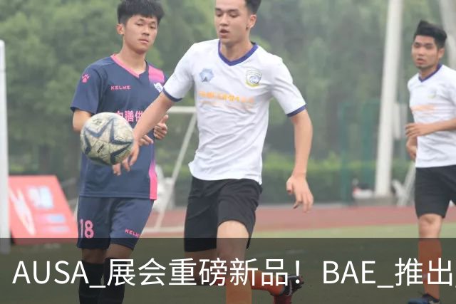 AUSA 展会重磅新品！BAE 推出 MDACS 火炮 + HPM 微波武器，分层拦截无人机蜂群