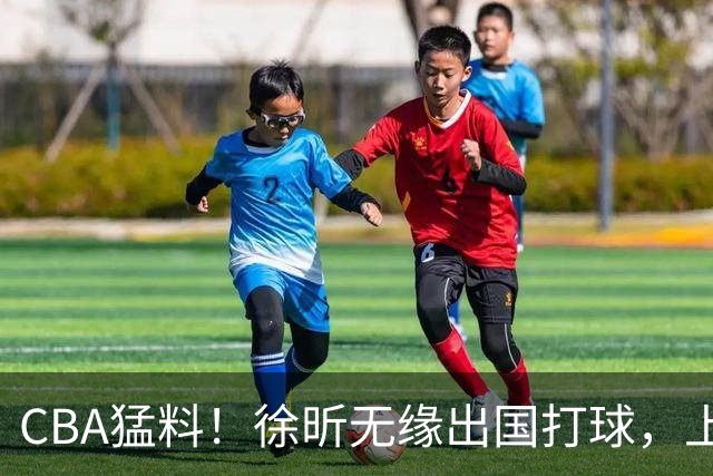 CBA猛料！徐昕无缘出国打球，上海两名大外援二选一，王哲林沈梓捷未通过体测