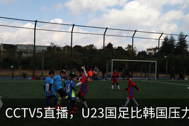 CCTV5直播，U23国足比韩国压力小，王钰栋解禁，摆回五后卫消耗战